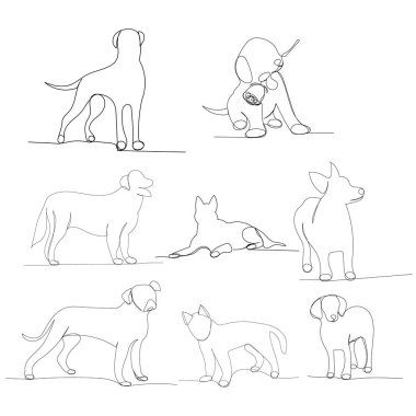 köpek aralıksız bir çizgi çiziyor.