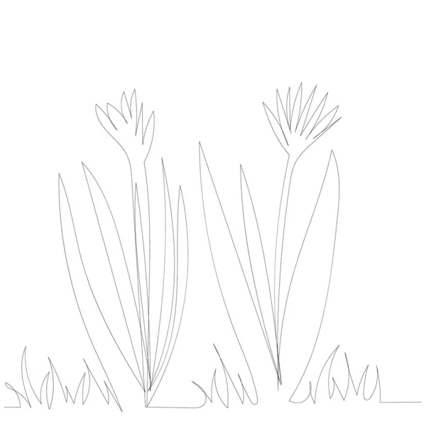 Witte Achtergrond Tekening Met Een Continue Lijn Van Bloemen Planten — Stockvector