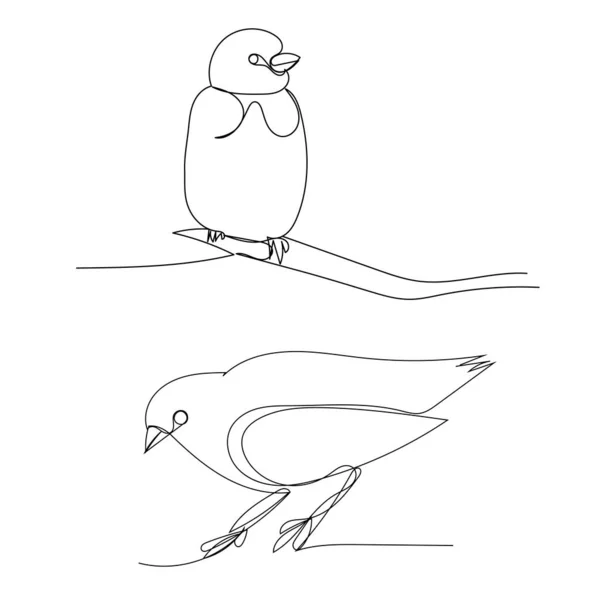 Beyaz Arkaplan Bir Kuşun Sürekli Bir Çizgi Çizimi — Stok Vektör