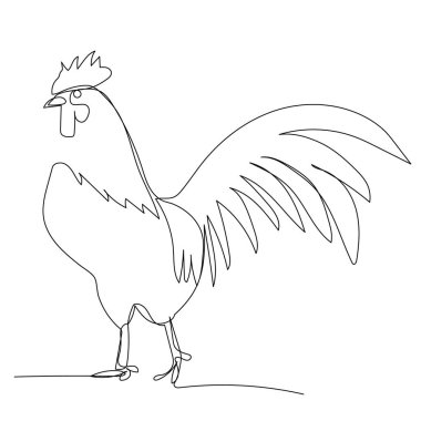 vektör, beyaz arkaplan, horoz sürekli çizgi çizimi