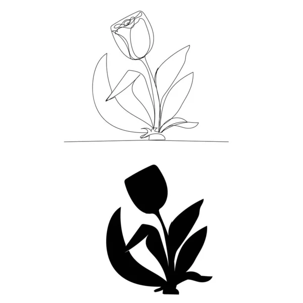 Vector Witte Achtergrond Doorlopende Lijntekening Van Een Tulp — Stockvector