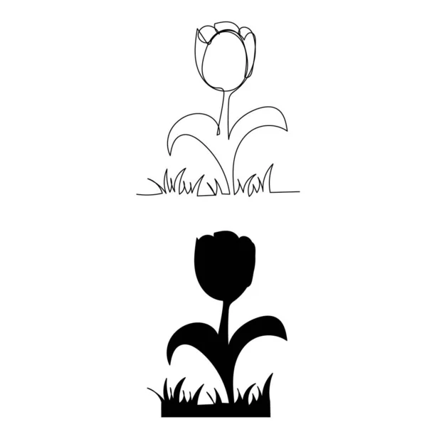 Vector Fondo Blanco Dibujo Línea Continua Tulipán — Vector de stock