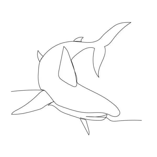 Aislado Dibujo Una Sola Línea Continua Tiburón — Vector de stock