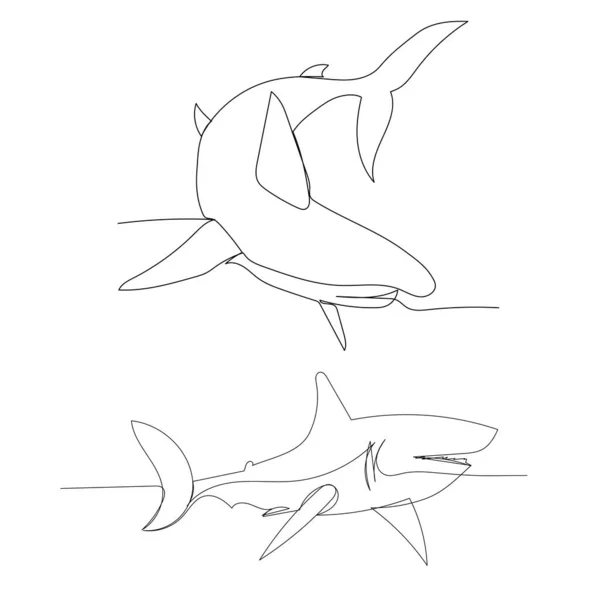 Vector Aislado Dibujo Línea Continua Tiburón — Vector de stock