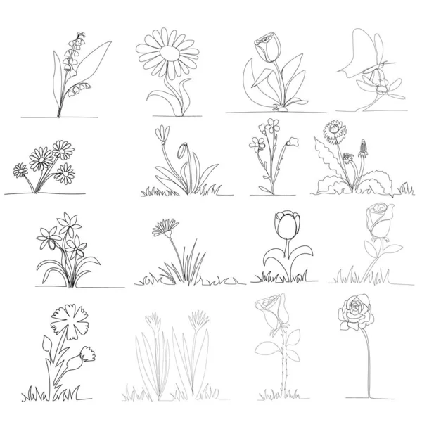 Vector Aislado Dibujo Línea Continua Flores Conjunto — Vector de stock