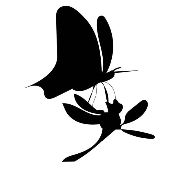 Czarny Sylwetka Kwiat Motyl — Wektor stockowy