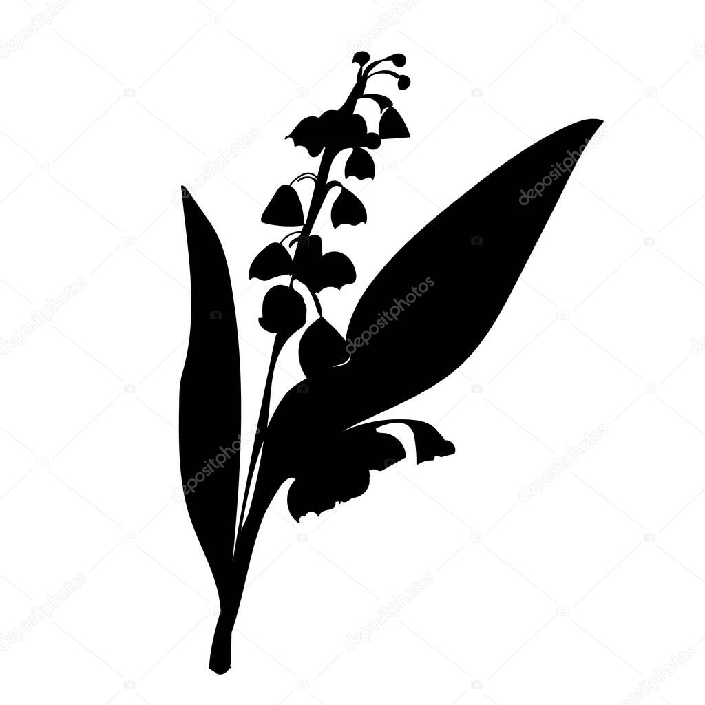 vector, on a white background, black silhouette of lilies of the valley