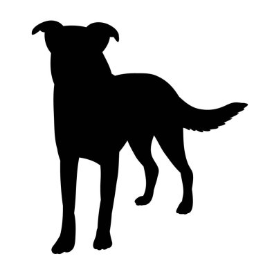 vektör, beyaz arkaplan, simge, siyah siluet köpek ayakta