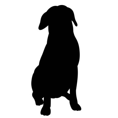 Beyaz arkaplan, siyah köpek silueti.