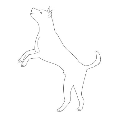 vektör, beyaz arkaplan üzerinde, taslak, taslak köpek