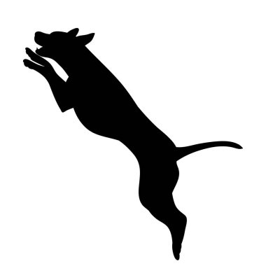 Beyaz arkaplan, simge, atlayan bir köpeğin siyah silueti