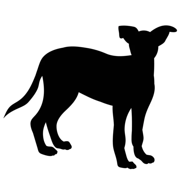 Чорний Силует Собаки Стоїть — стоковий вектор