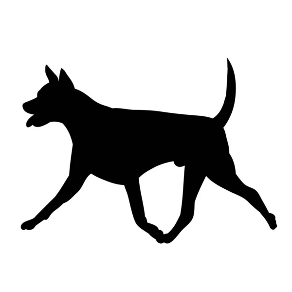 Vit Bakgrund Svart Siluett Hund Kör — Stock vektor