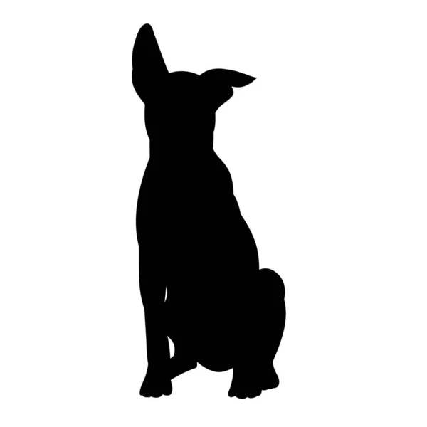 Beyaz Arka Plan Siyah Siluet Oturan Bir Köpek — Stok Vektör