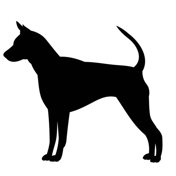 Vit Bakgrund Svart Siluett Hund — Stock vektor