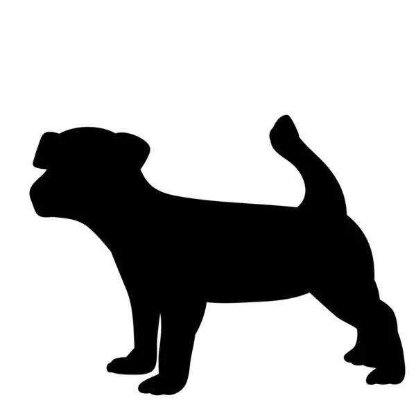 Black Silhouette Dog Standing — Stock Vector