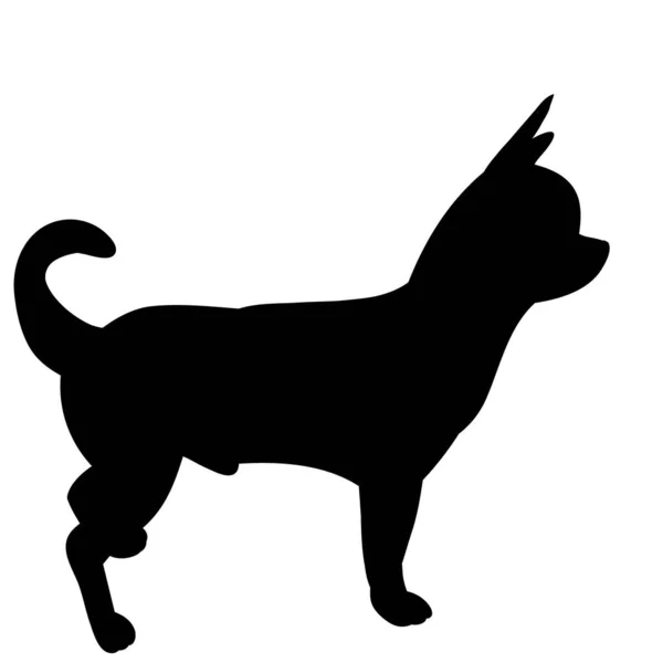 Black Silhouette Dog Standing — Stock Vector