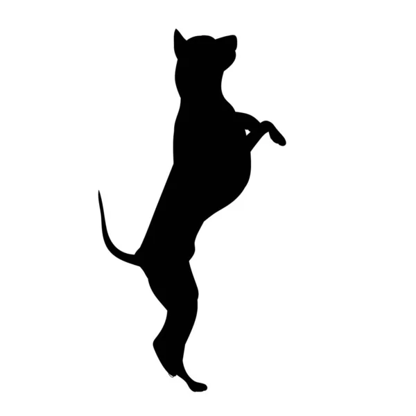 Чёрный Силуэт Собачьего Прыжка — стоковый вектор