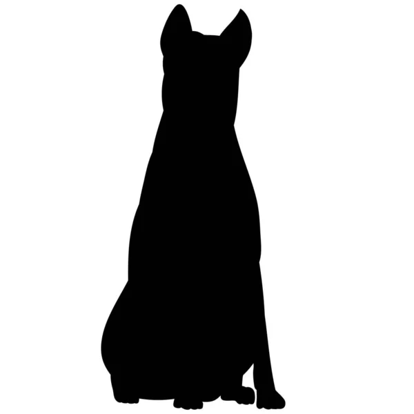 Vecteur Sur Fond Blanc Silhouette Noire Chien Assis — Image vectorielle