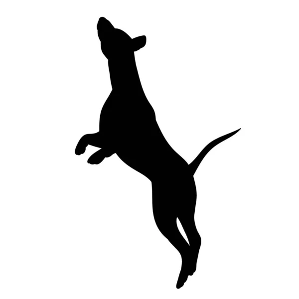 Vecteur Sur Fond Blanc Silhouette Noire Chien Sautant — Image vectorielle