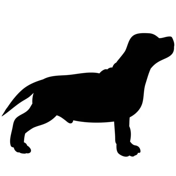 Vector White Background Black Silhouette Dog Standing — Stock Vector