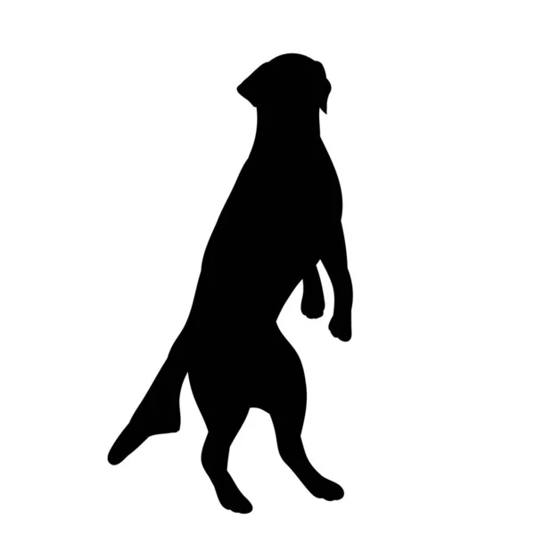 Weißer Hintergrund Schwarze Silhouette Ein Hund Springt — Stockvektor