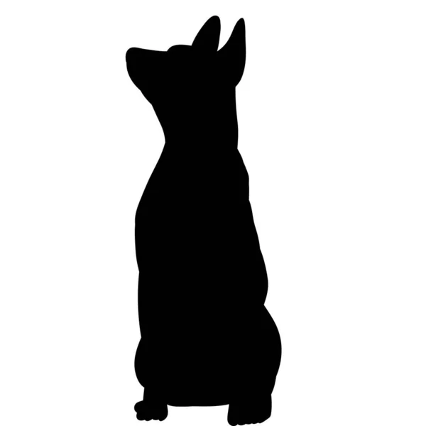 Черный Силуэт Сидящей Собаки — стоковый вектор