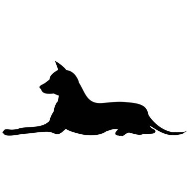 vektör, beyaz arkaplanda, simge, köpeğin siyah silueti uzanır