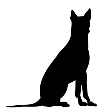 vektör, beyaz arkaplan, simge, siyah köpek silueti