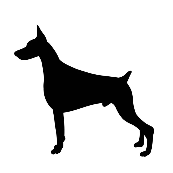 White Background Black Silhouette One Dog Standing — Stock Vector