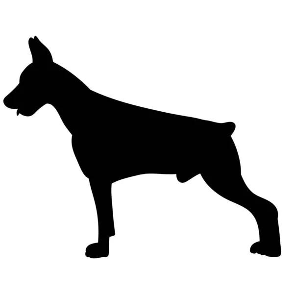 Vector White Background Black Silhouette Dog Standing — Stock Vector