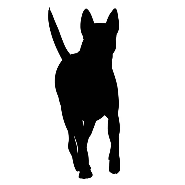 Weißer Hintergrund Schwarze Silhouette Eines Spazierenden Hundes — Stockvektor