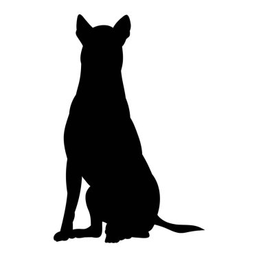 vektör, beyaz arkaplan, simge, siyah köpek silueti