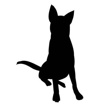  Siyah bir köpek oturuyordu.
