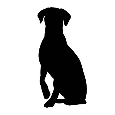 vektör, beyaz arka planda, siyah siluet bir köpek oturuyor
