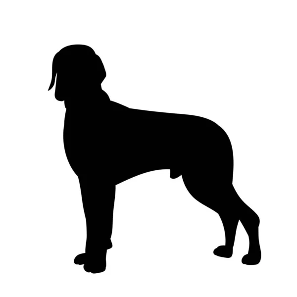 Witte Achtergrond Zwart Silhouet Van Een Staande Hond — Stockvector