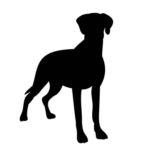 Zwart Silhouet Van Een Staande Hond — Stockvector