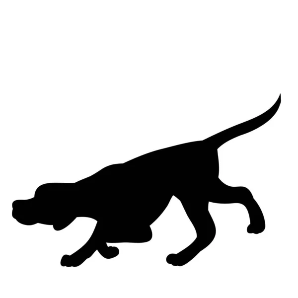 Vector White Background Black Silhouette Walking Dog — Stock Vector