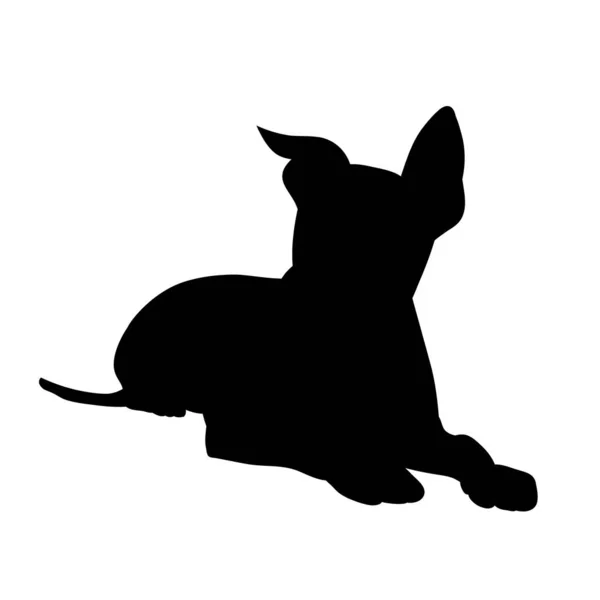 Vektör Beyaz Arka Planda Bir Köpeğin Siyah Silueti Yatar — Stok Vektör