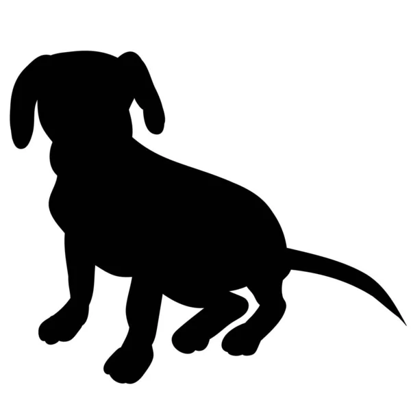 White Background Black Silhouette Small Dog — Stock Vector