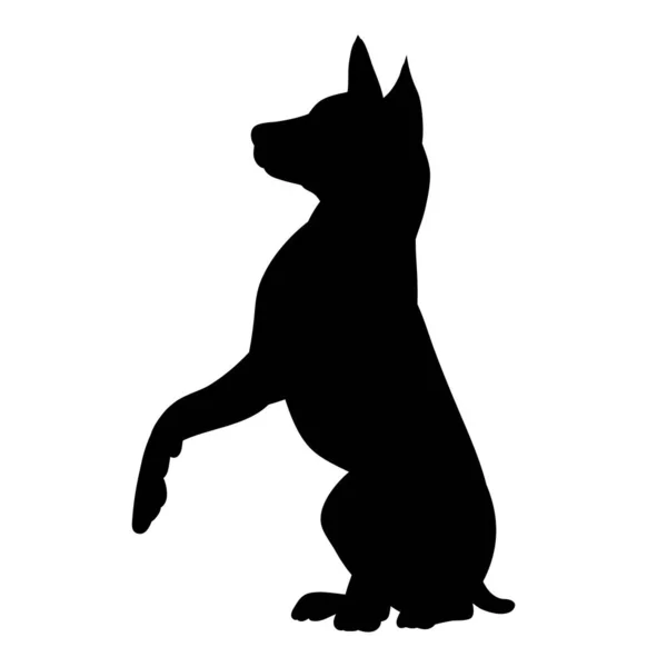 White Background Black Silhouette Dog Sitting — Stock Vector