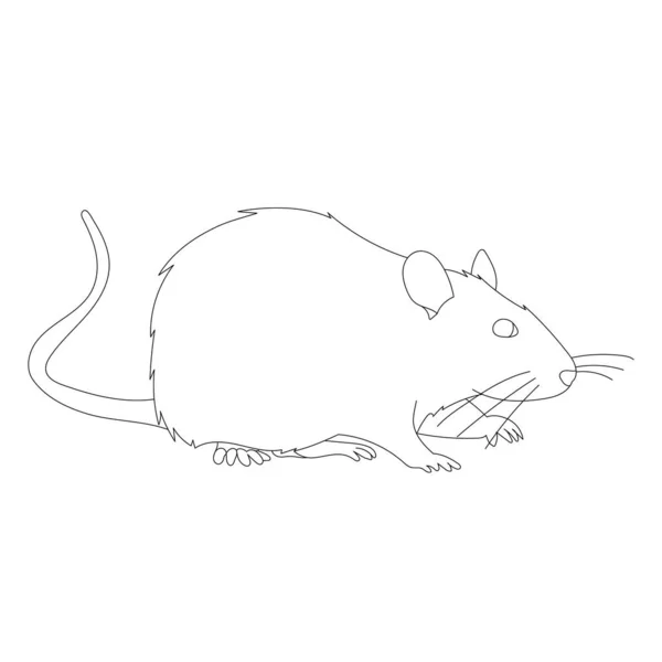 Fond Blanc Rat Souris Contour Ensemble — Image vectorielle