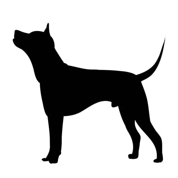 Vector White Background Black Silhouette Standing Dog — Stock Vector