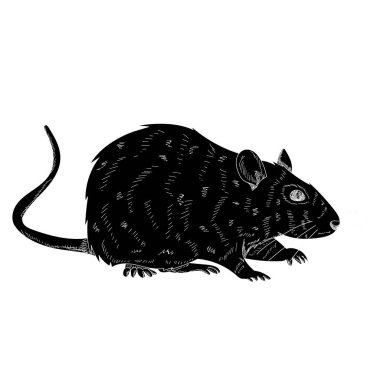  siyah bir fare silueti, fare