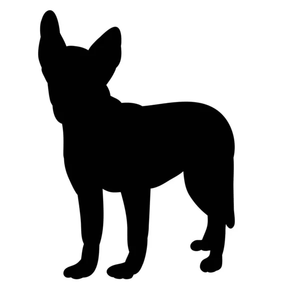Vector White Background Black Silhouette Small Dog Standing — Stock Vector