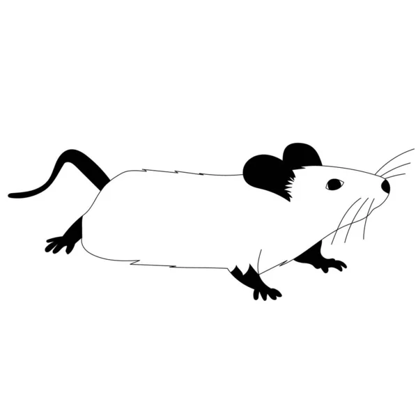 Weißer Hintergrund Ratte Maus Schwarz Weiße Silhouette — Stockvektor