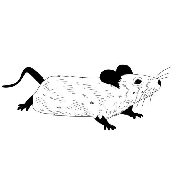 Fond Blanc Rat Souris Silhouette Noire Blanche Laine — Image vectorielle