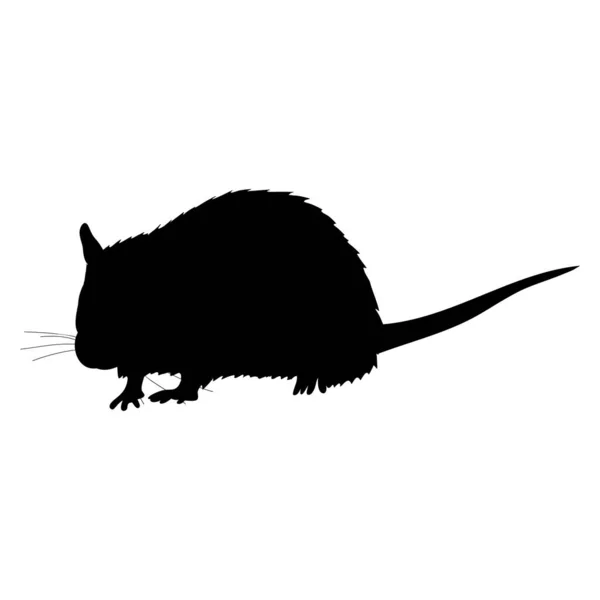 Een Witte Achtergrond Zwart Silhouet Van Een Rat Muis — Stockvector