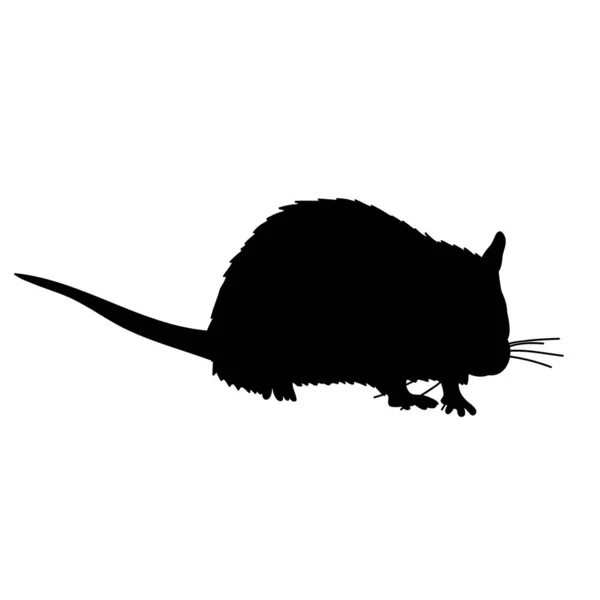Vector Een Witte Achtergrond Zwart Silhouet Van Een Rat Muis — Stockvector