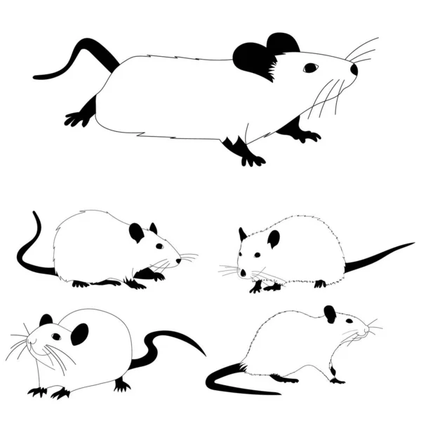 Vector White Background Black White Silhouette Rat Mouse Set — Stock Vector
